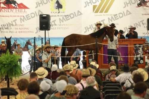 JHM_2638