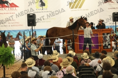 JHM_2639