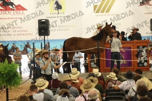 JHM_2641