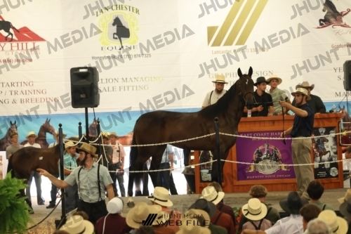 JHM_2647
