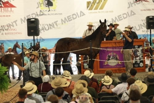 JHM_2648
