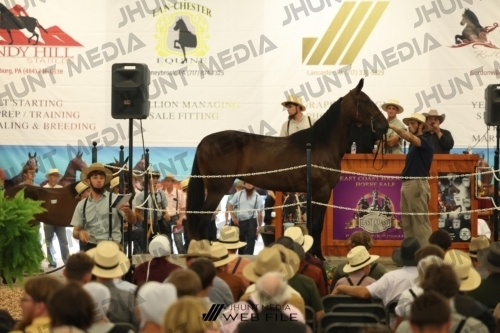JHM_2657