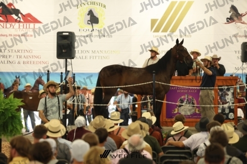 JHM_2659