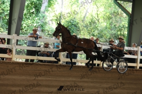 JHM_0066