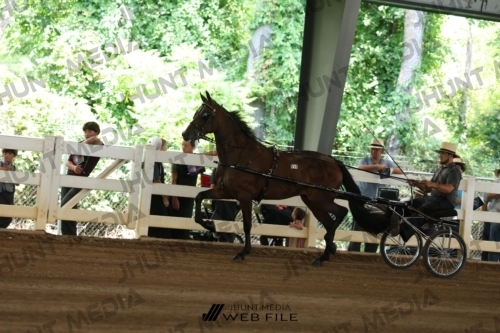 JHM_0067