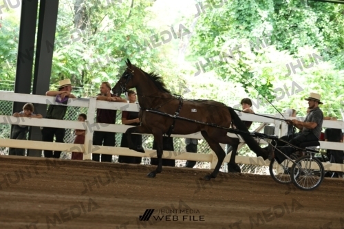 JHM_0068
