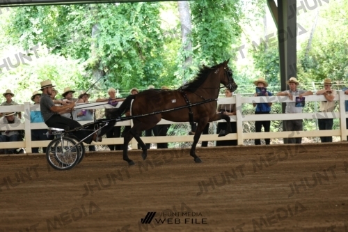 JHM_0086
