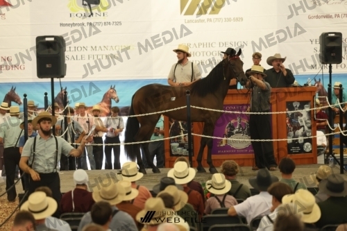JHM_2667