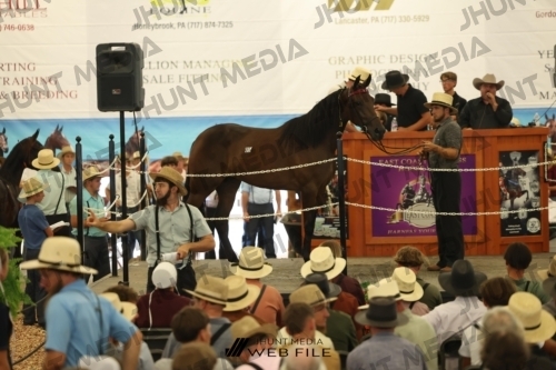 JHM_2670