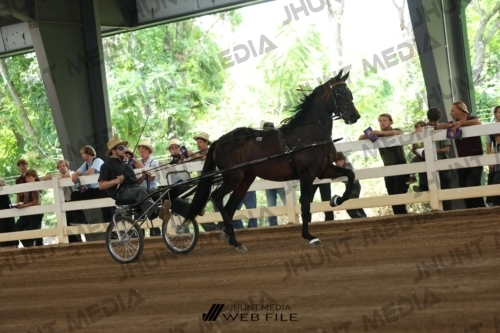 JHM_0151