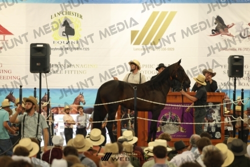 JHM_2679