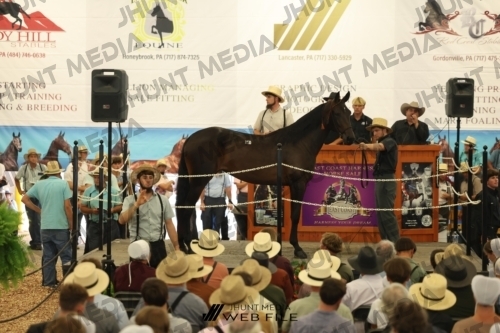 JHM_2685