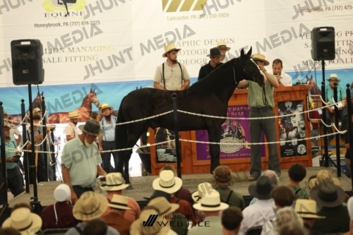 JHM_2687