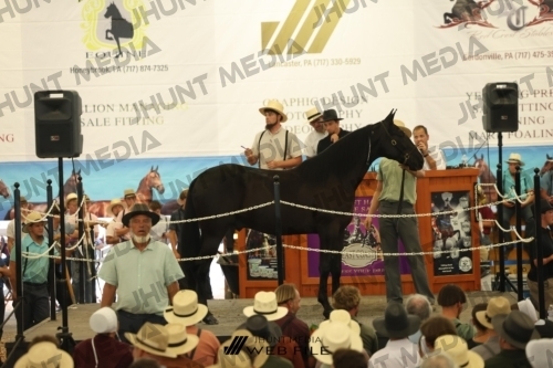 JHM_2690