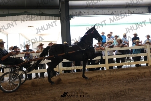 JHM_2090