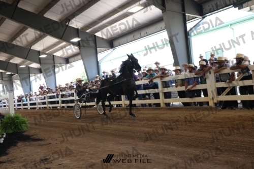 JHM_2164