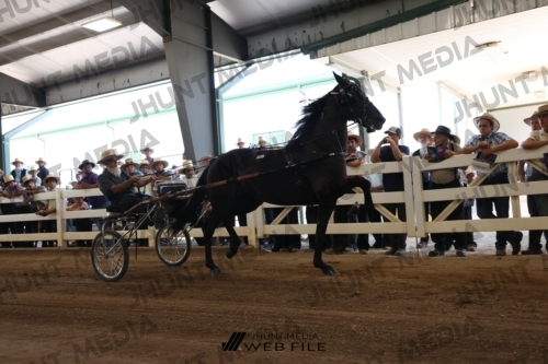 JHM_2181
