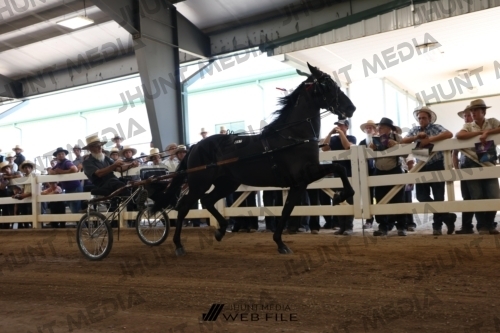 JHM_2182