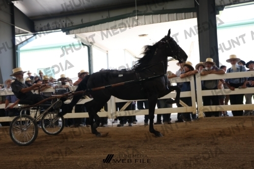 JHM_2189