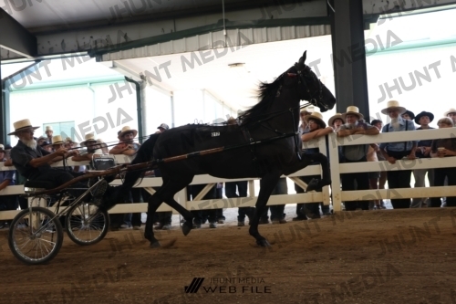 JHM_2190