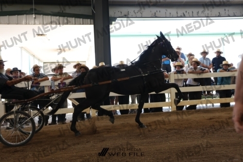 JHM_2198