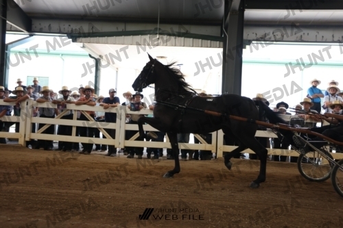 JHM_2441
