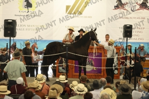 JHM_2695