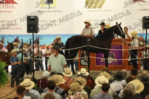 JHM_2704