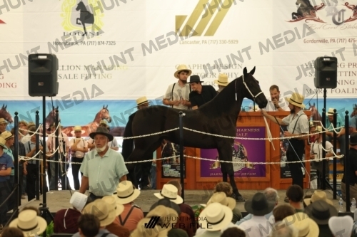 JHM_2707