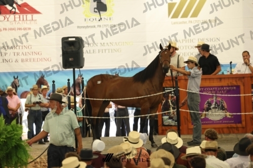 JHM_2717