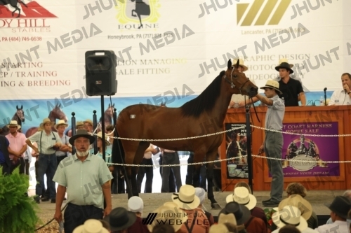 JHM_2719