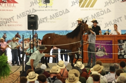 JHM_2720