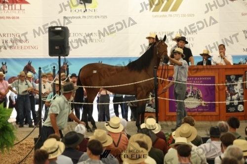 JHM_2721