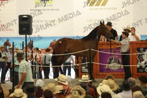JHM_2727