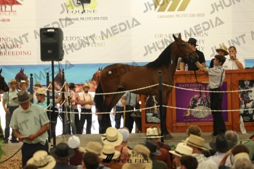 JHM_2728