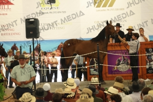JHM_2729