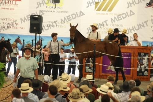 JHM_2733