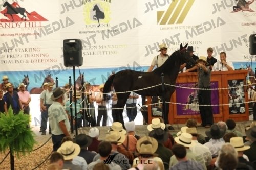 JHM_2738