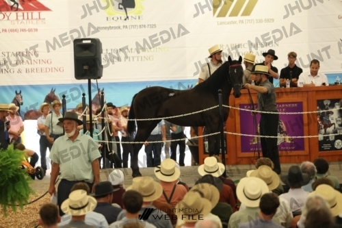 JHM_2743