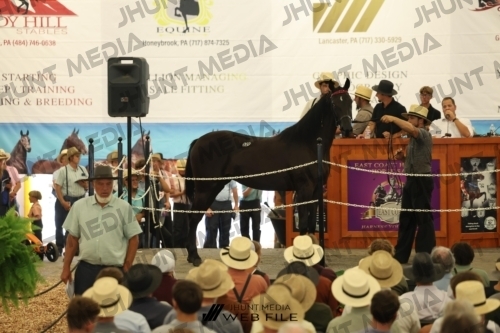 JHM_2744