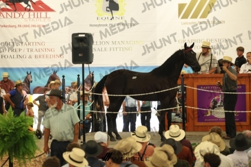 JHM_2746