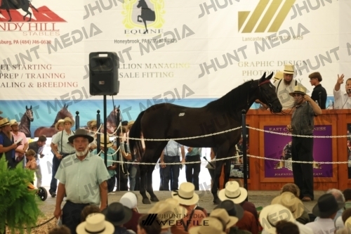 JHM_2748