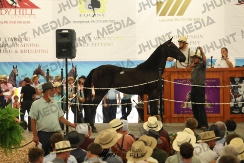 JHM_2750