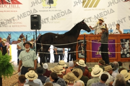 JHM_2752