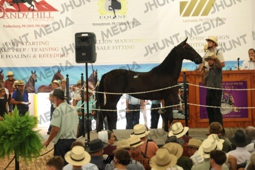 JHM_2754