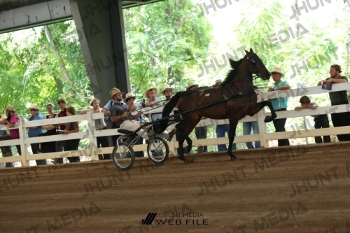 JHM_0139