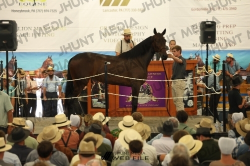 JHM_2759