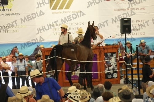 JHM_2769
