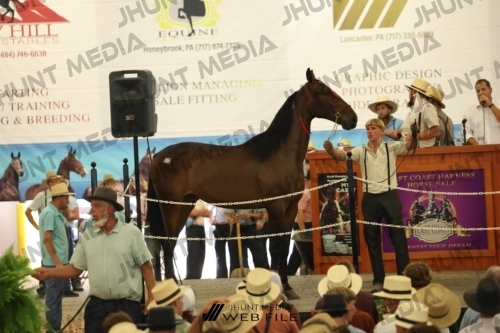 JHM_2770