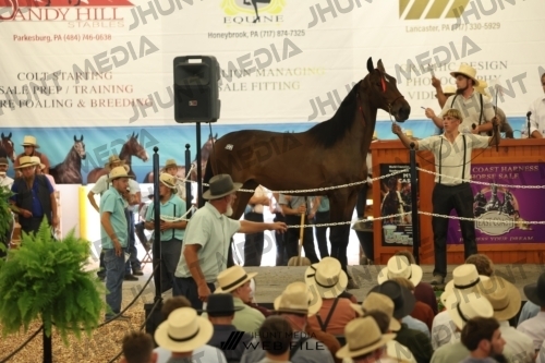 JHM_2772